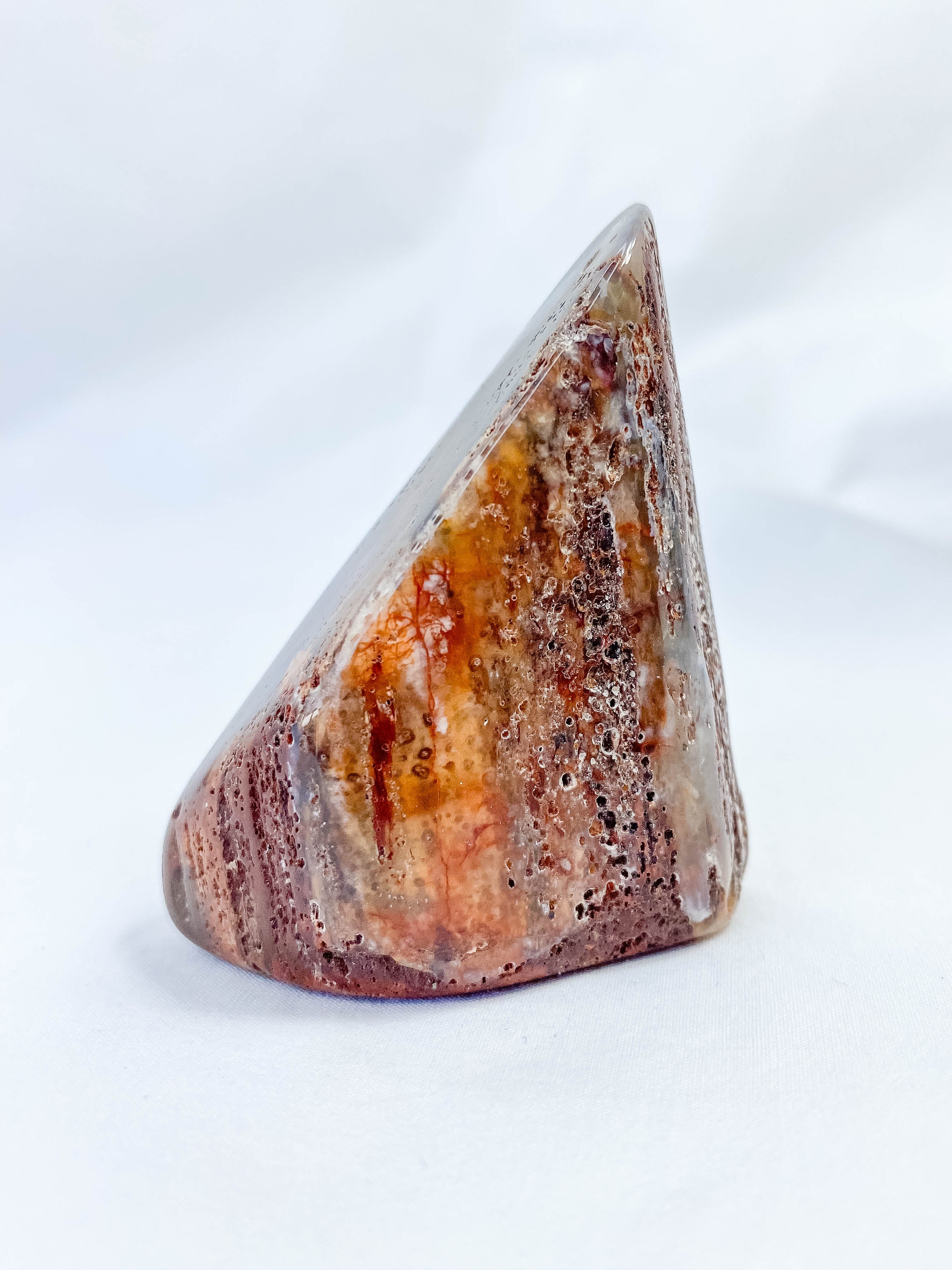 Petrified Wood Polished Cut Base 91g