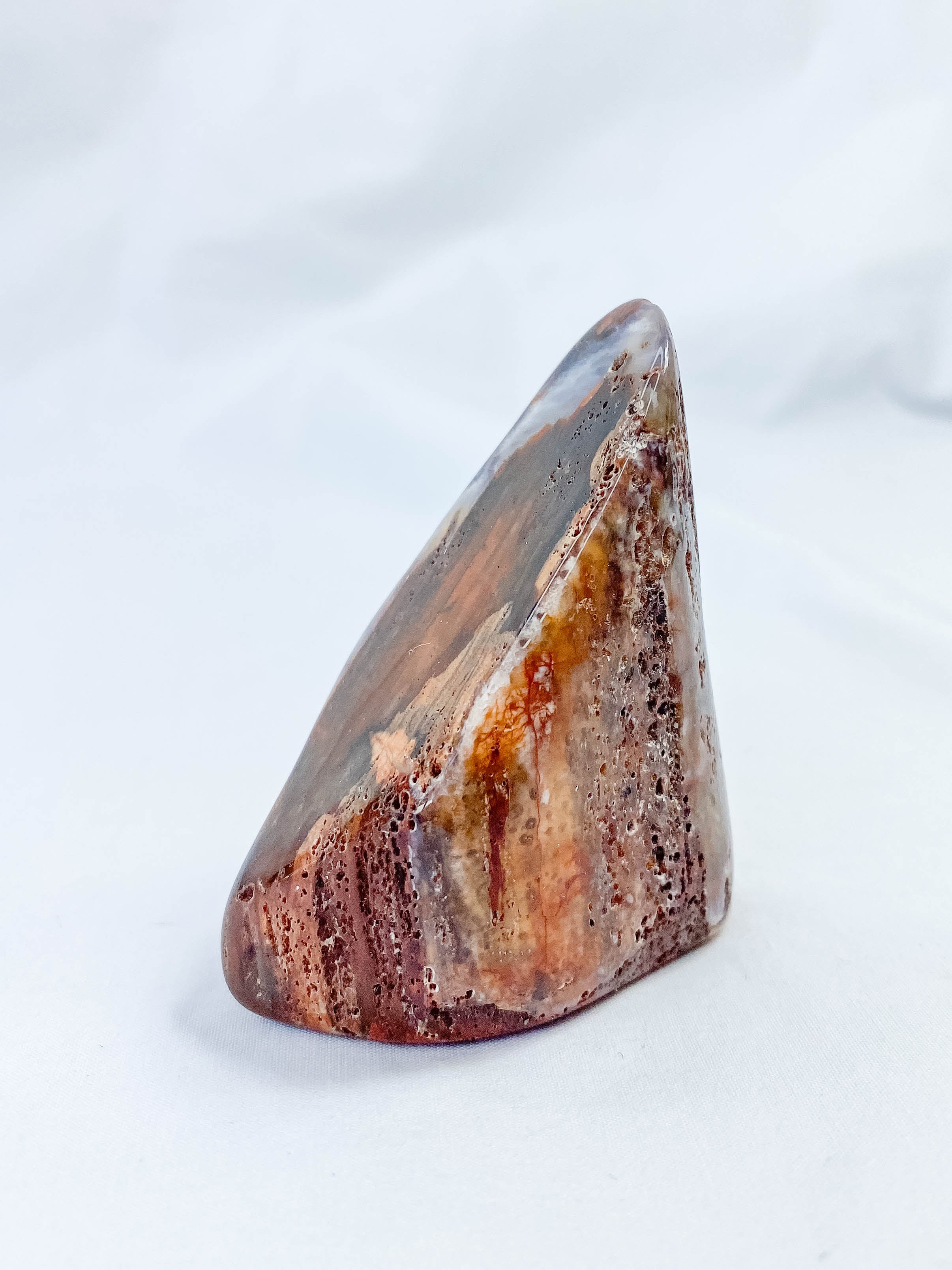 Petrified Wood Polished Cut Base 91g