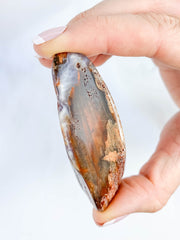 Petrified Wood Polished Cut Base 91g