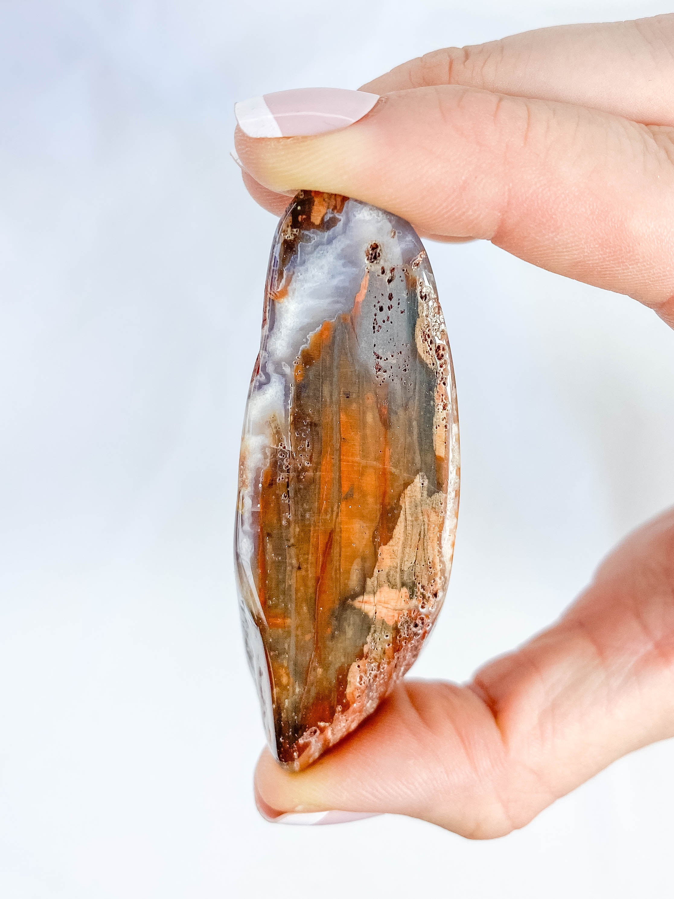 Petrified Wood Polished Cut Base 91g