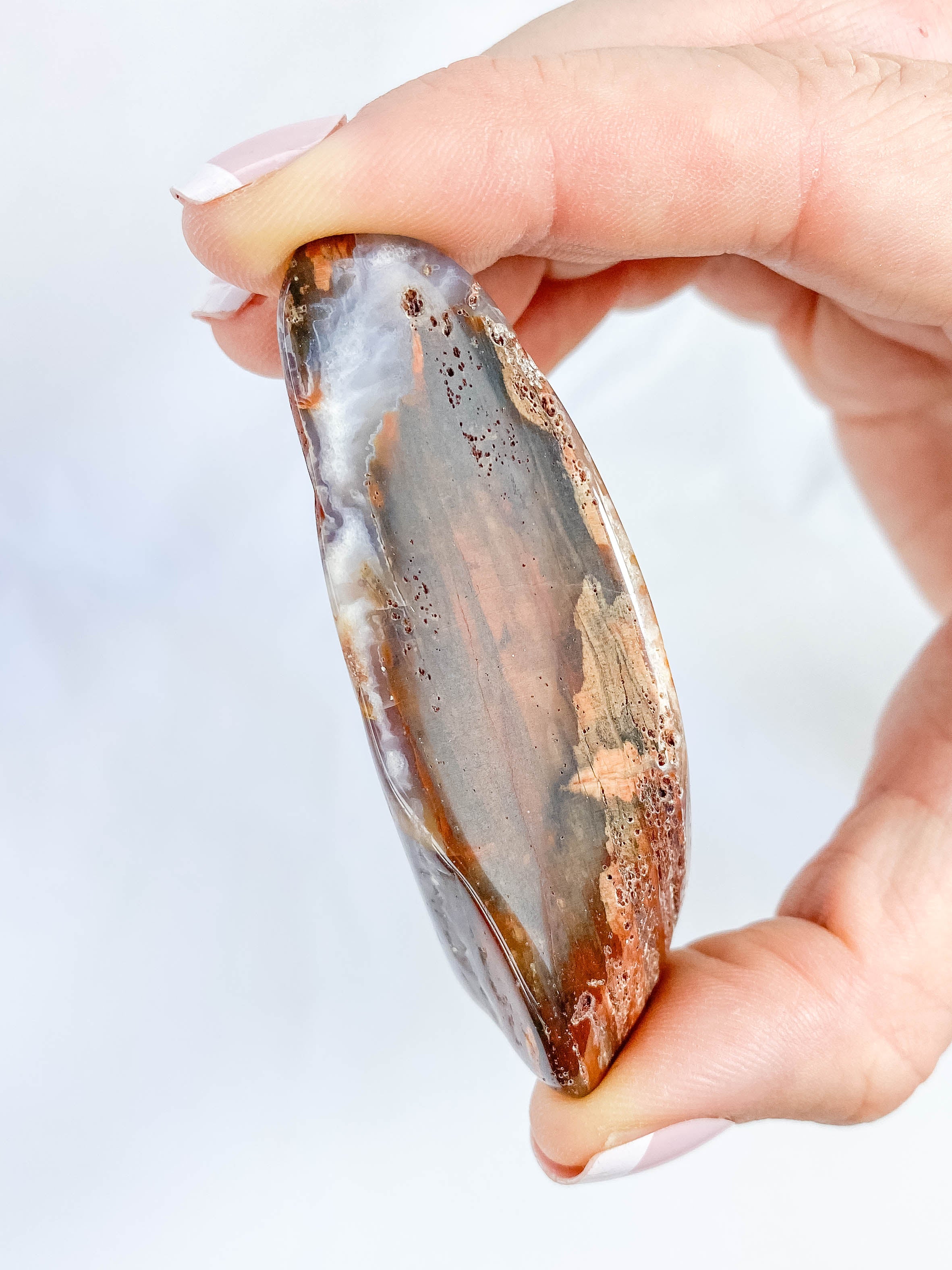 Petrified Wood Polished Cut Base 91g