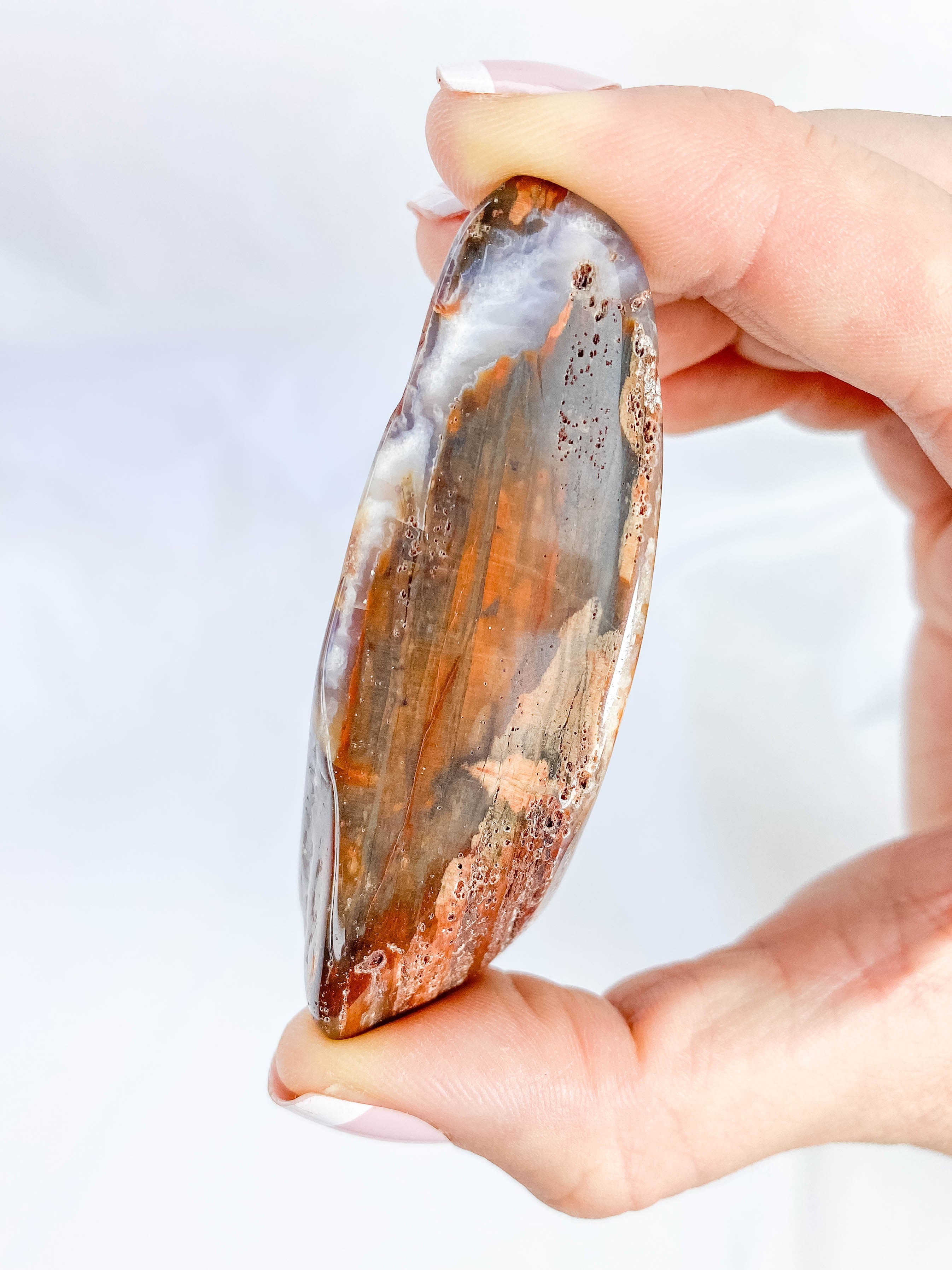 Petrified Wood Polished Cut Base 91g