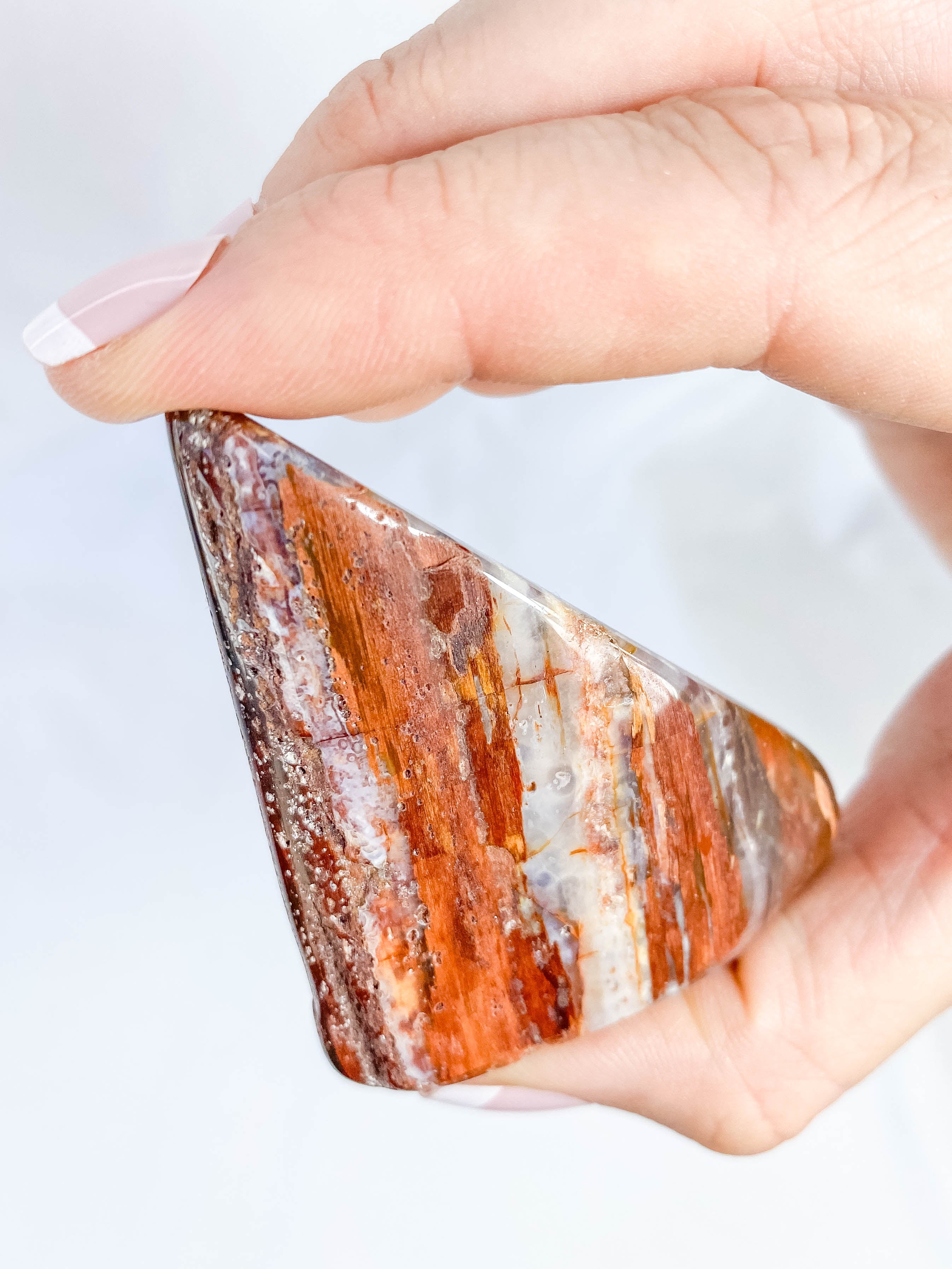 Petrified Wood Polished Cut Base 91g