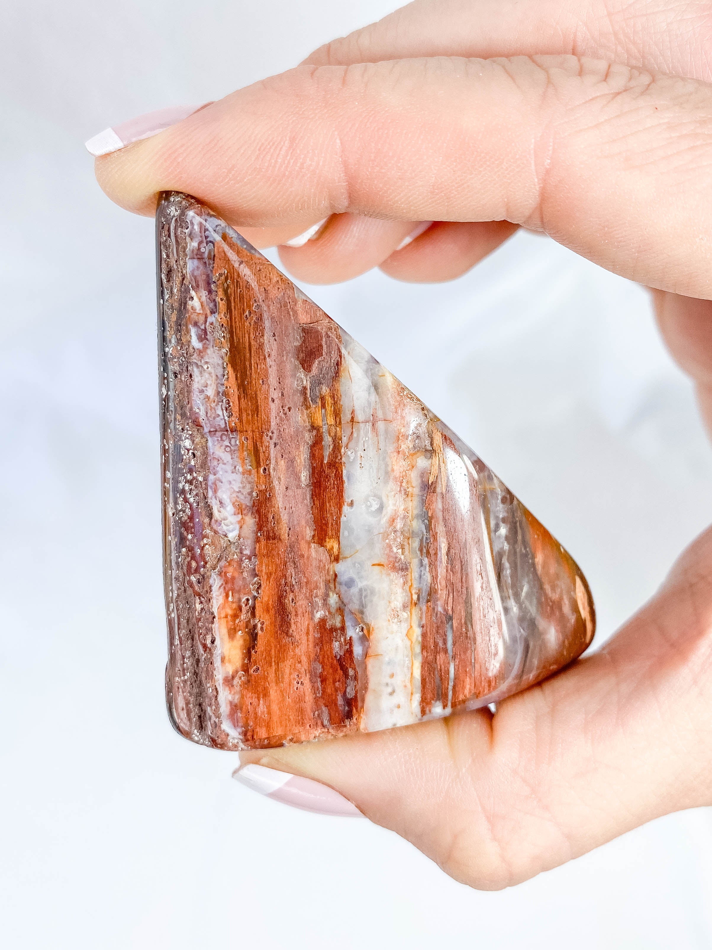 Petrified Wood Polished Cut Base 91g