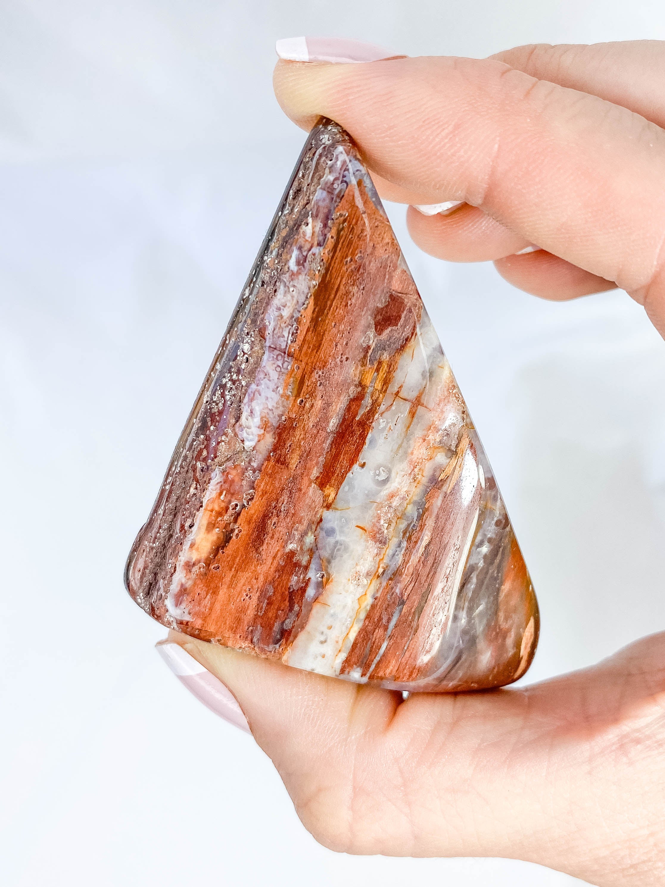 Petrified Wood Polished Cut Base 91g