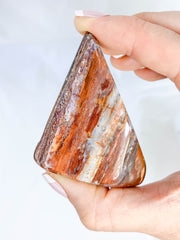 Petrified Wood Polished Cut Base 91g