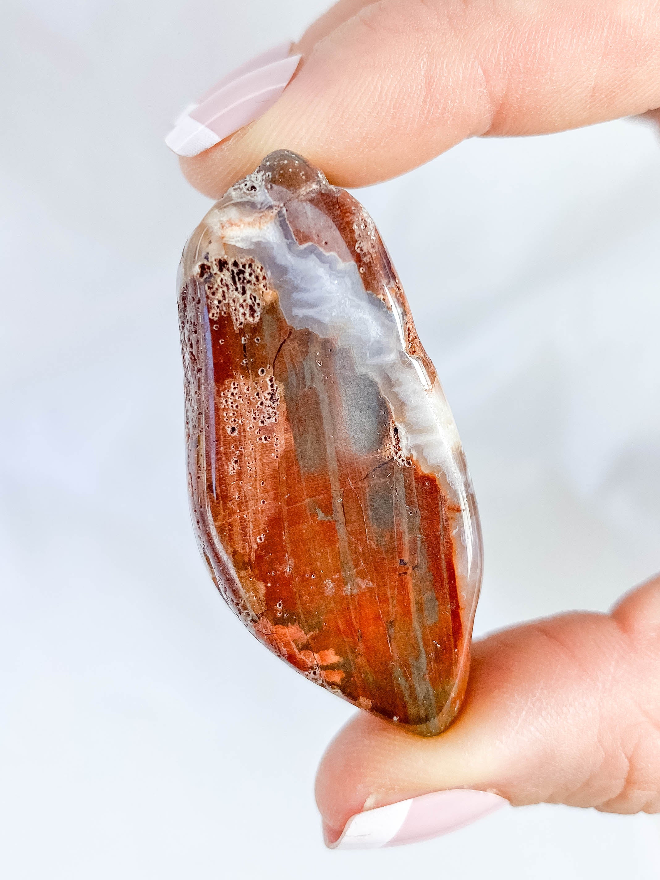 Petrified Wood Polished Cut Base 91g