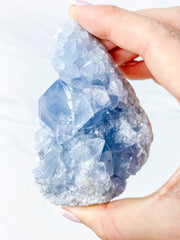 Celestite Cluster 339g