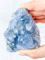 Celestite Cluster 315g