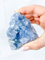 Celestite Cluster 315g