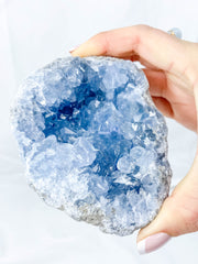 Celestite Cluster 788g