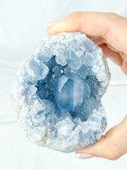 Celestite Cluster 710g