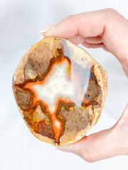 Agate ThunderEgg 255g