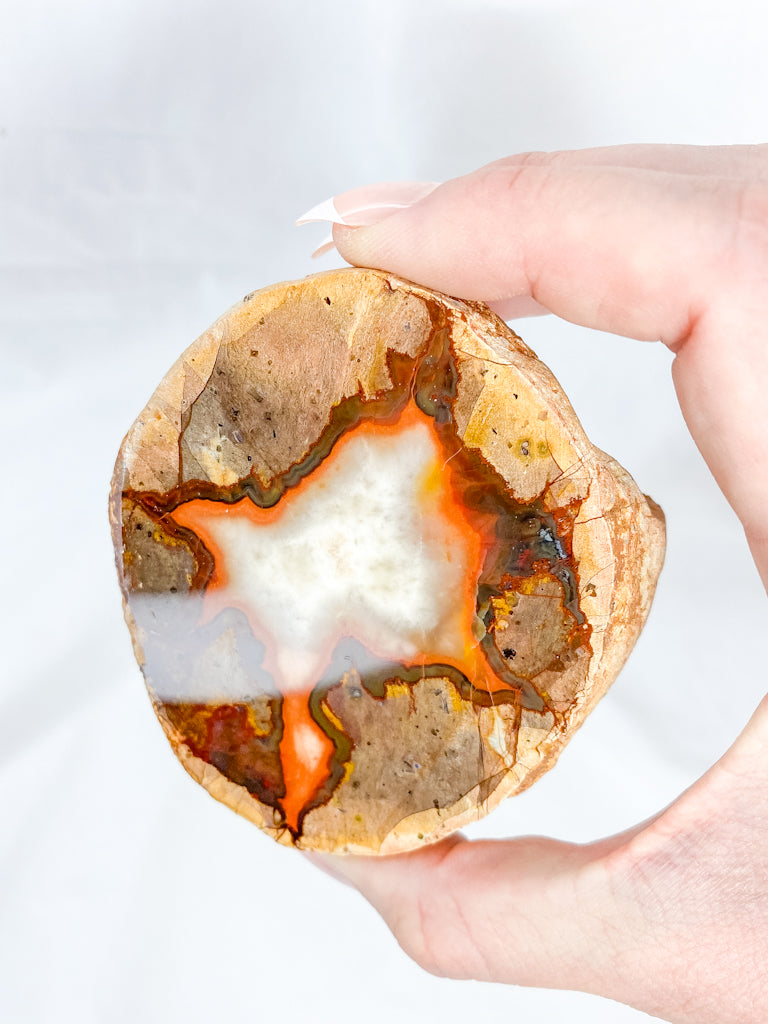 Agate ThunderEgg 255g