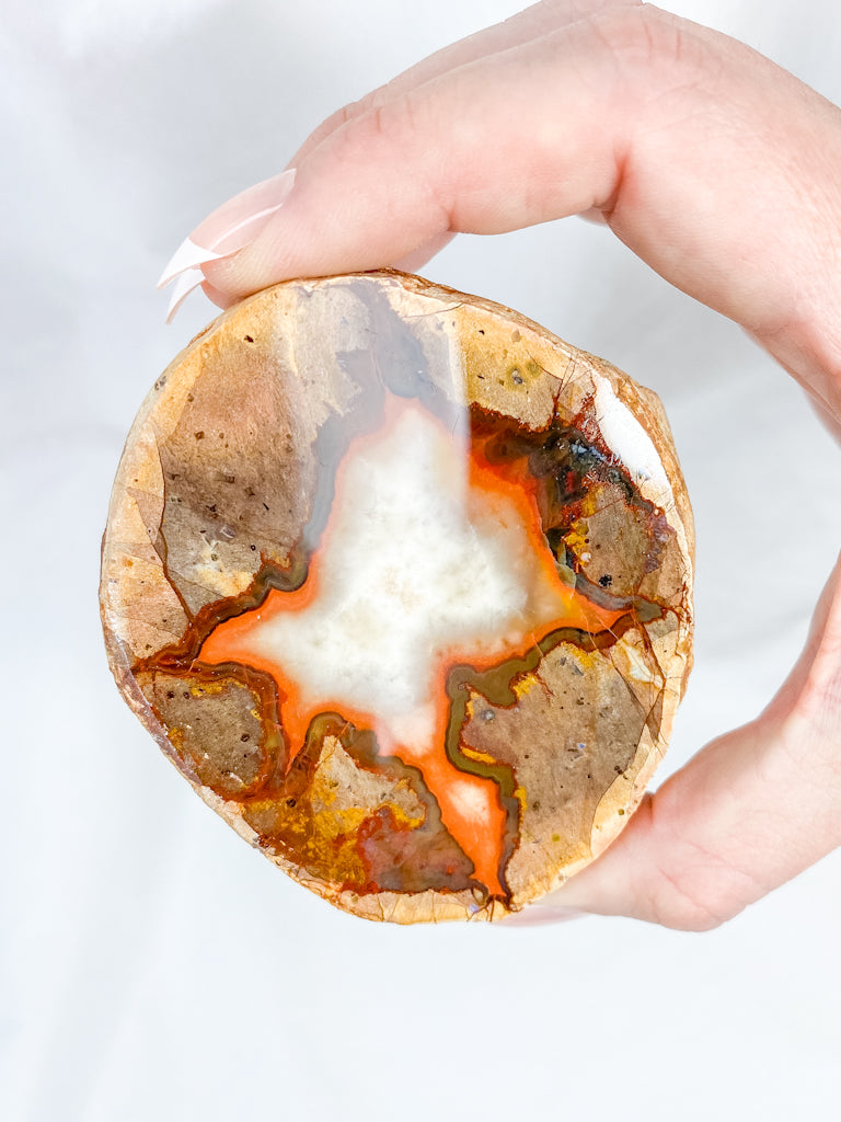 Agate ThunderEgg 255g