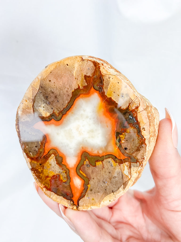 Agate ThunderEgg 255g