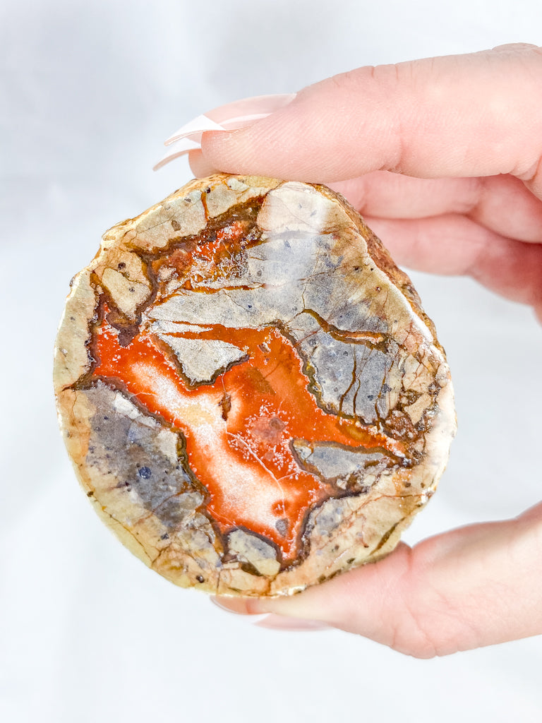 Agate ThunderEgg 241g