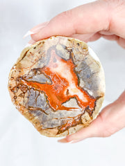 Agate ThunderEgg 241g