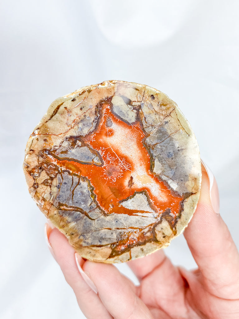 Agate ThunderEgg 241g