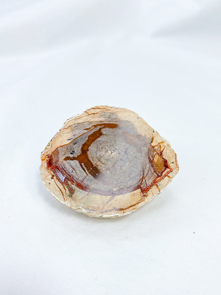 Agate ThunderEgg 54g