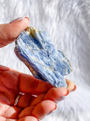 Blue Kyanite with Mica and Quartz Natural | Large