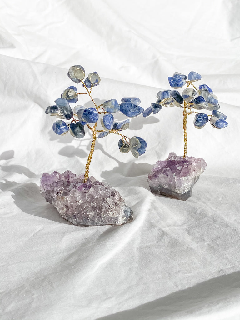 Wire Tree Sodalite on Amethyst Base