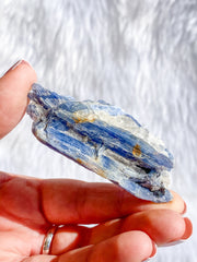 Blue Kyanite with Mica and Quartz Natural | Small