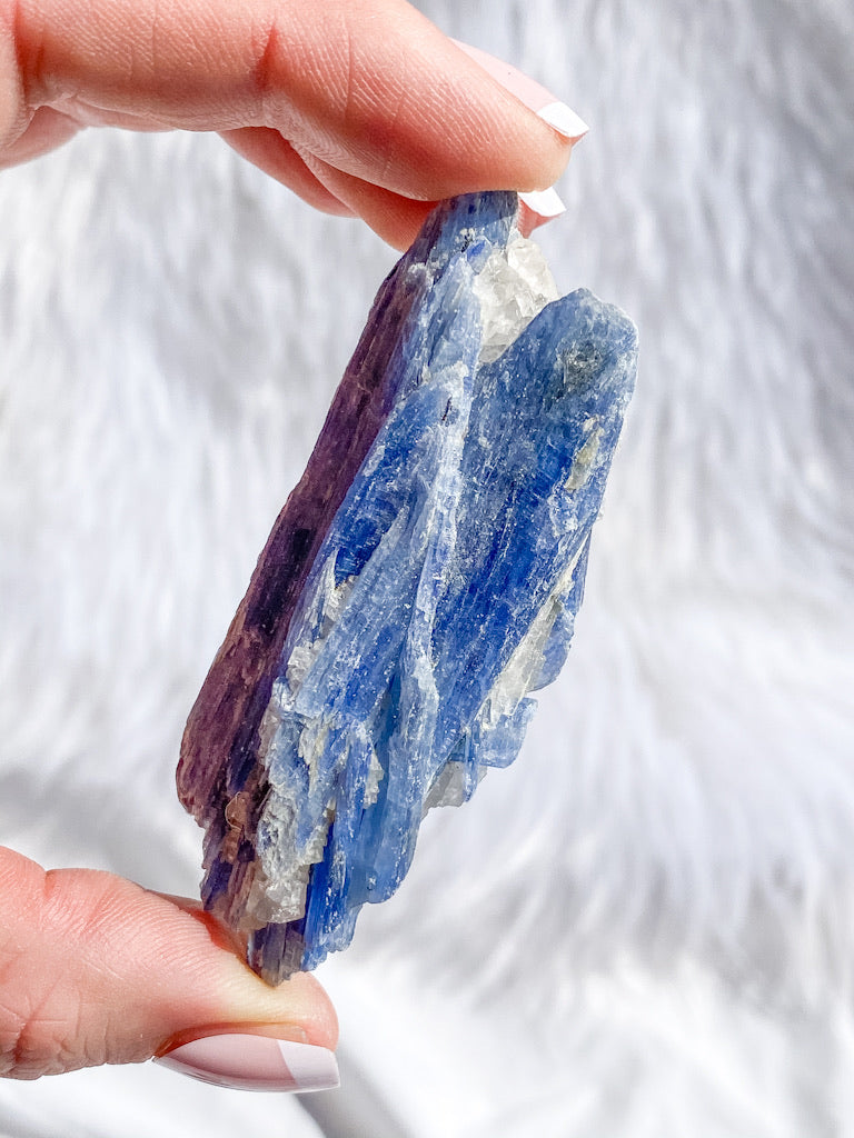 Blue Kyanite with Mica and Quartz Natural | Small