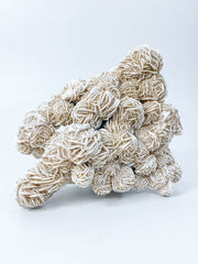 Desert Rose Selenite Cluster Statement Piece 1.3kg