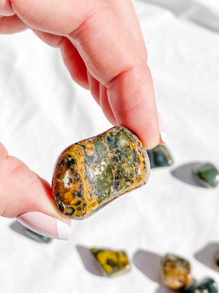 Ocean Jasper Tumbles | Medium