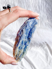 Blue Kyanite with Mica and Quartz Natural | X Large