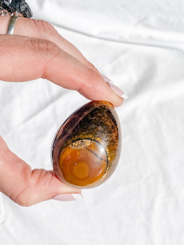 Tiger Eye Egg | Medium