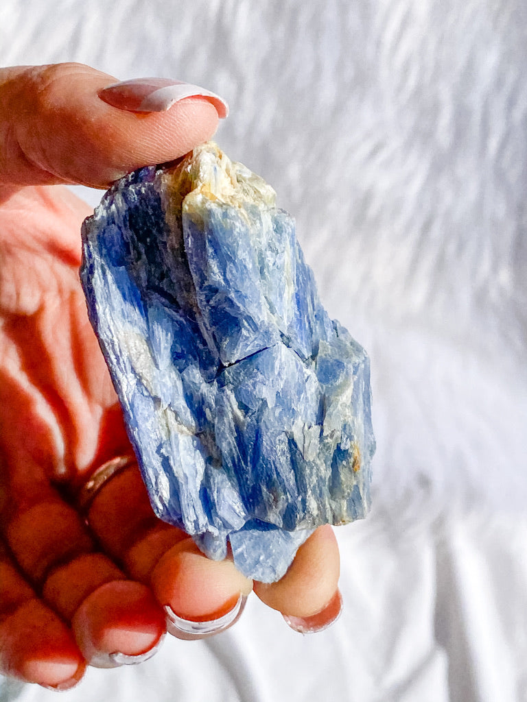 Blue Kyanite with Mica and Quartz Natural | Large