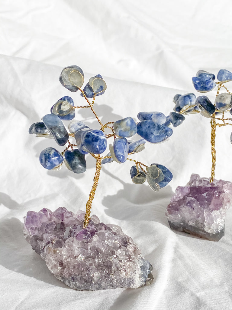 Wire Tree Sodalite on Amethyst Base