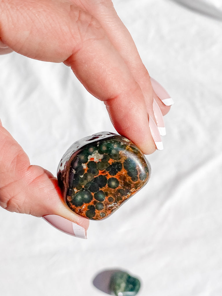 Ocean Jasper Tumbles | Large