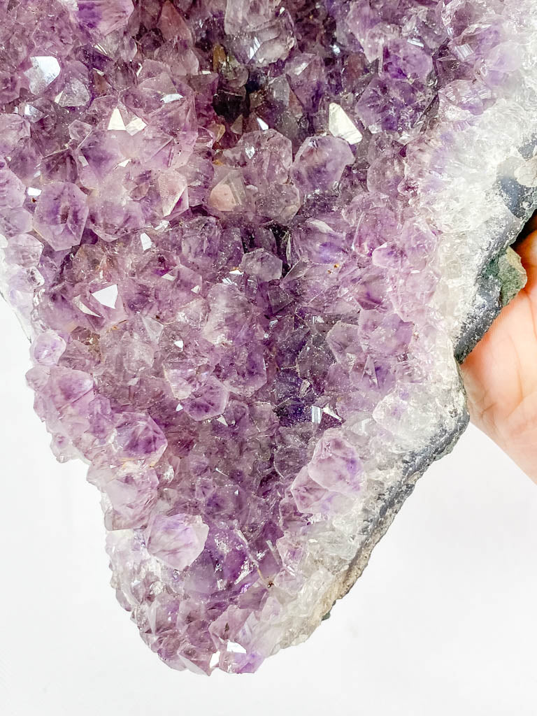 Amethyst Cluster Wave 3kg