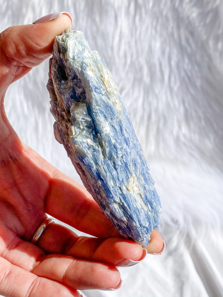 Blue Kyanite with Mica and Quartz Natural | X Large