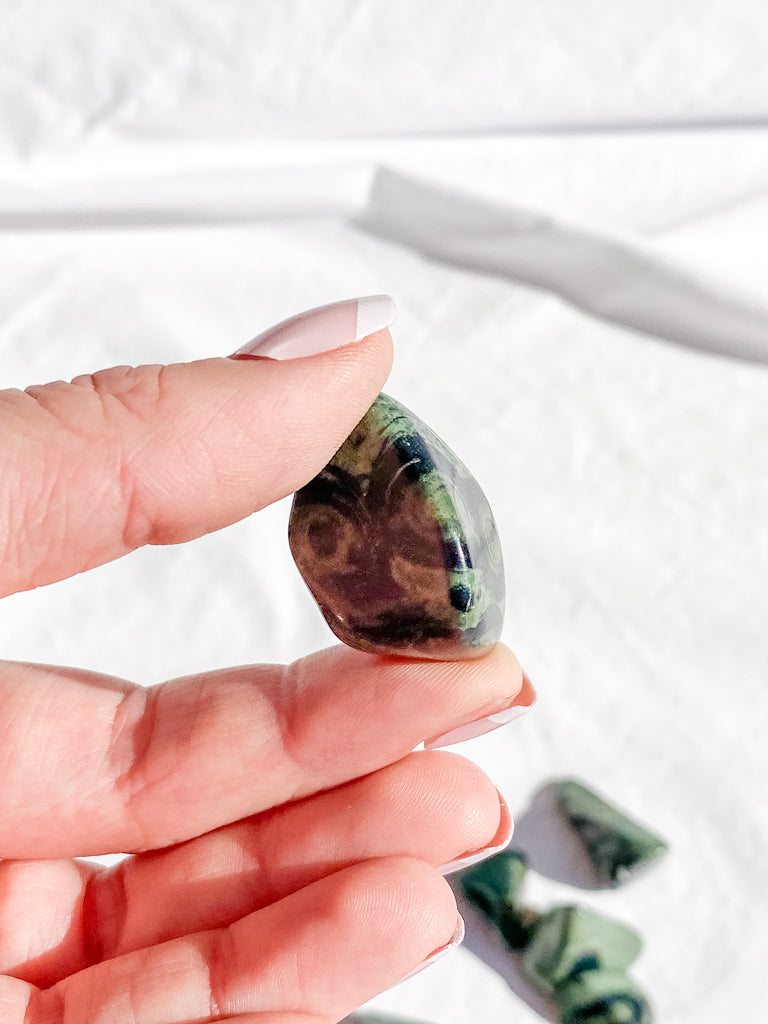 Crocodile Jasper [Kambaba] Tumbles | Small