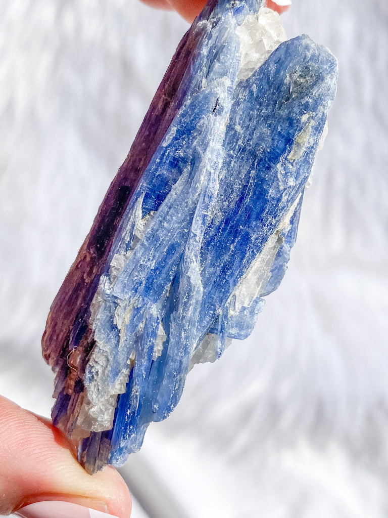 Blue Kyanite with Mica and Quartz Natural | Small