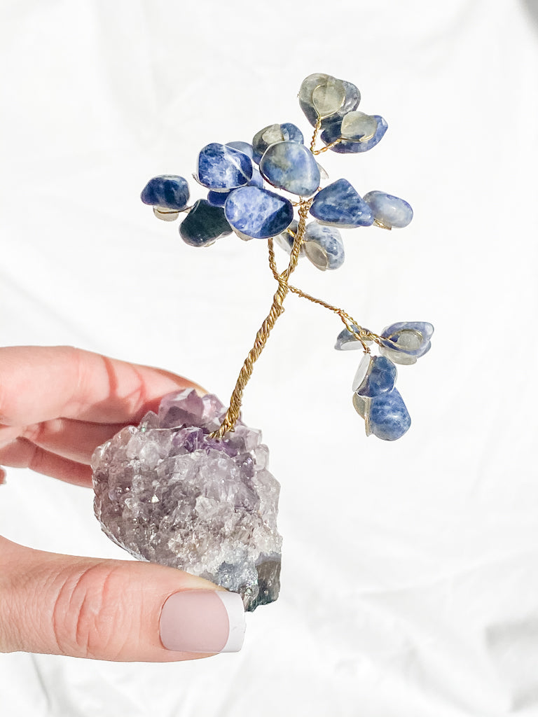 Wire Tree Sodalite on Amethyst Base