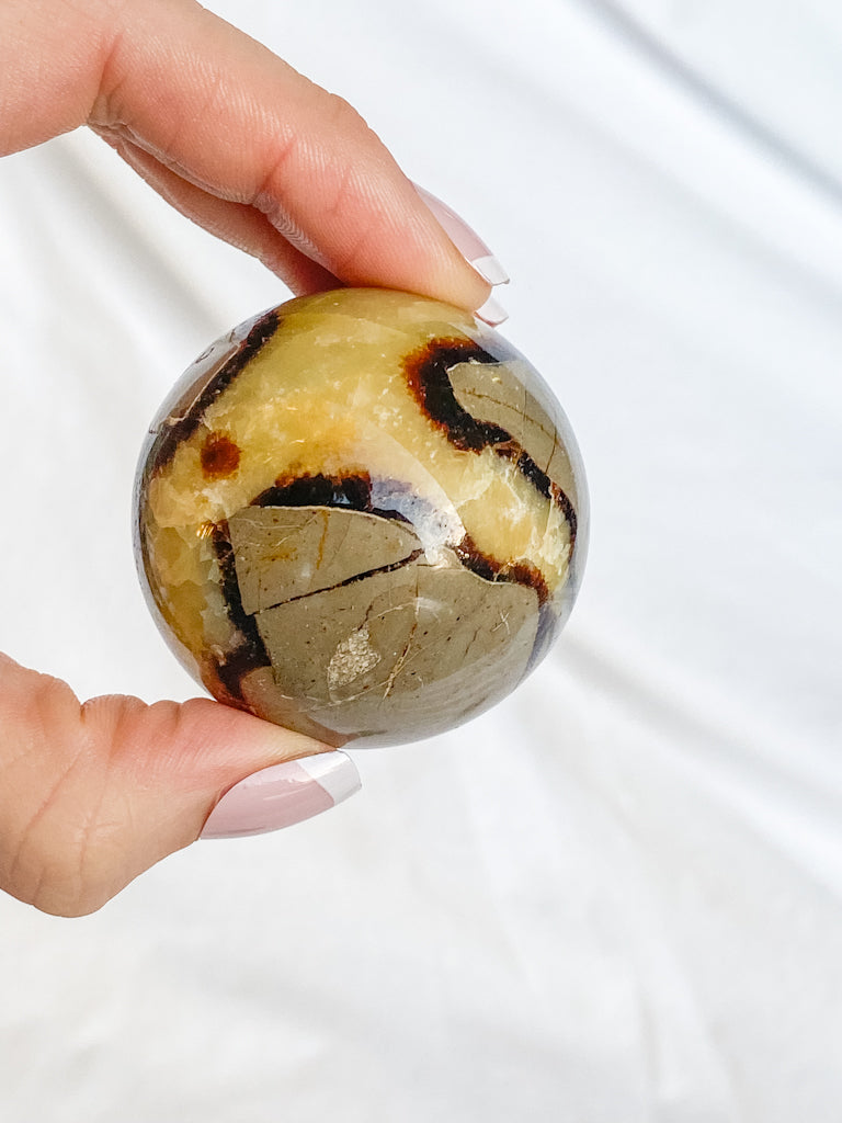 Septarian Sphere | Large