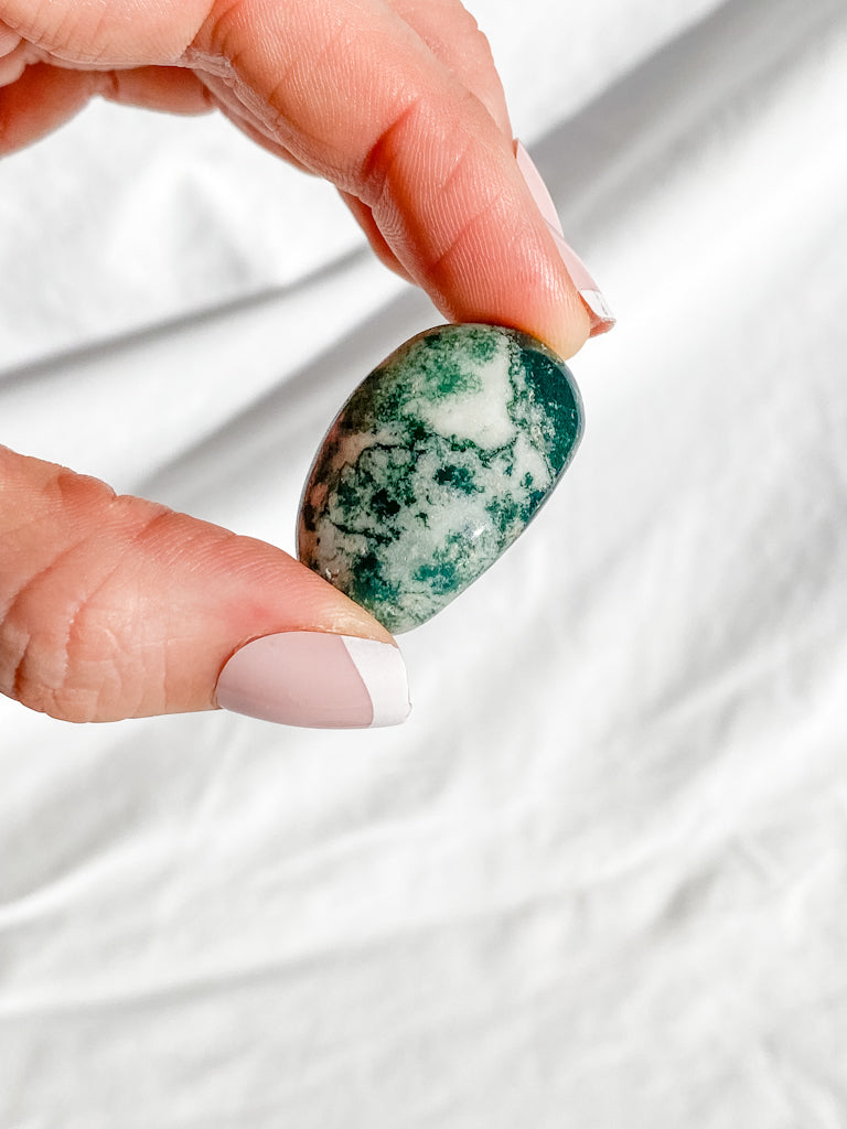 Tree Agate Tumbles | Medium