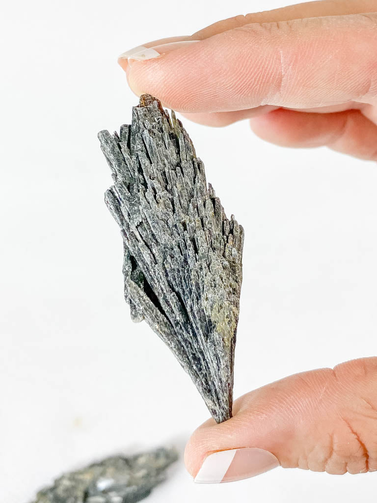 Black Kyanite Natural | X Small