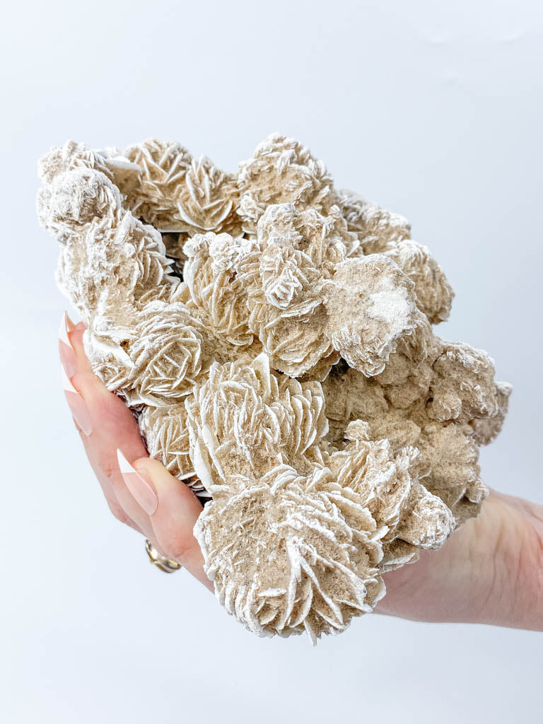 Desert Rose Selenite Cluster Statement Piece 1.3kg