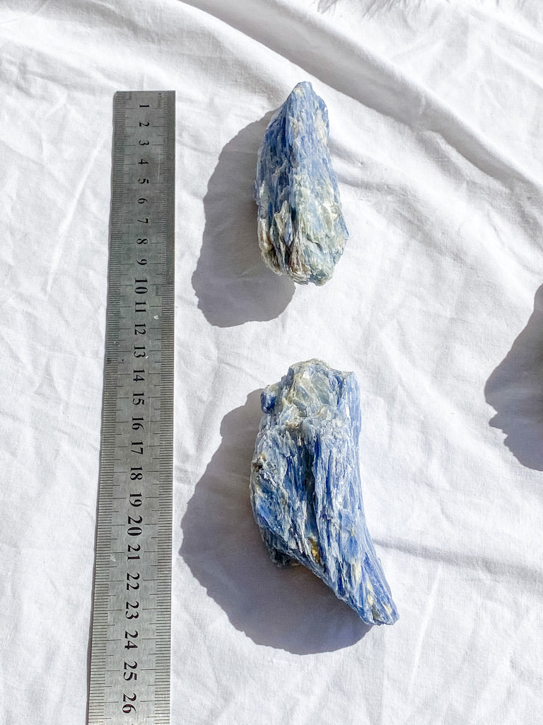 Blue Kyanite with Mica and Quartz Natural | X Large