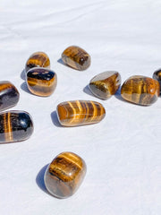 Tiger Eye Tumbles | Medium