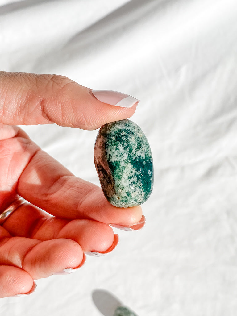 Tree Agate Tumbles | Medium