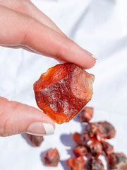 Carnelian Natural | X Small