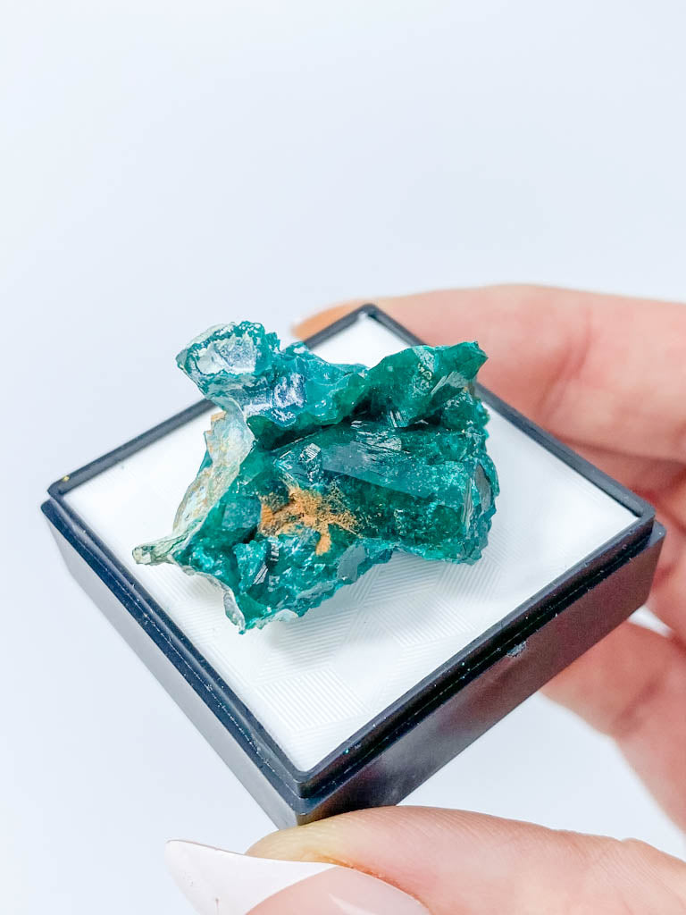 Dioptase Mineral Specimen 17g