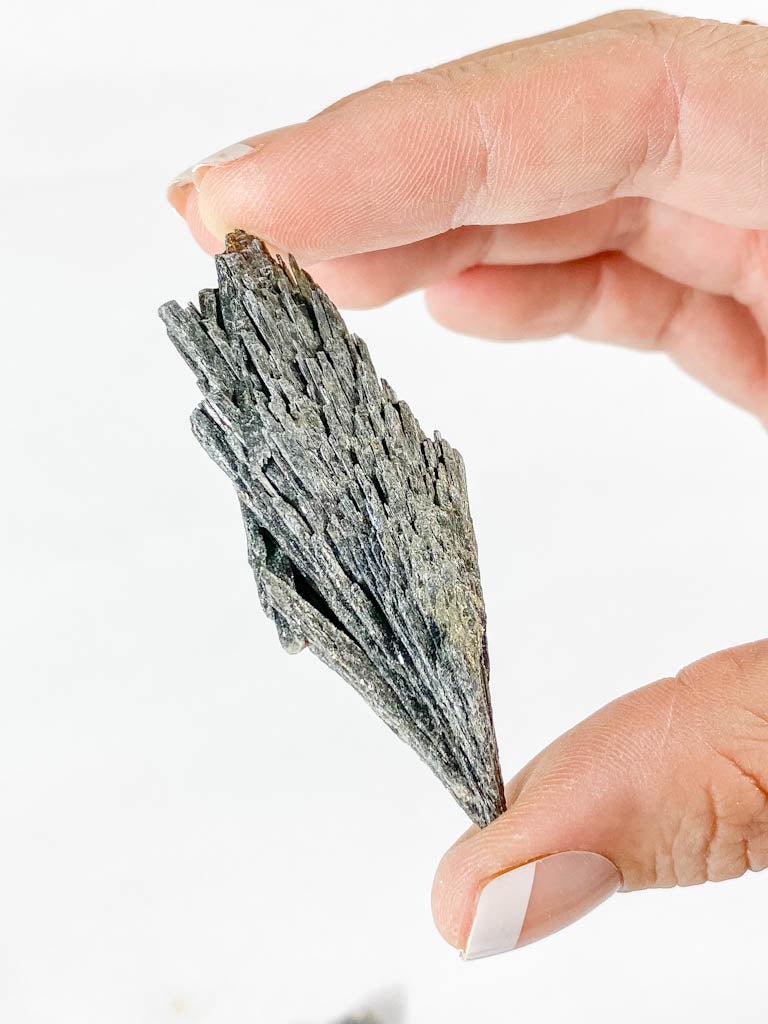 Black Kyanite Natural | X Small